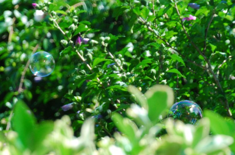 Bubble_2