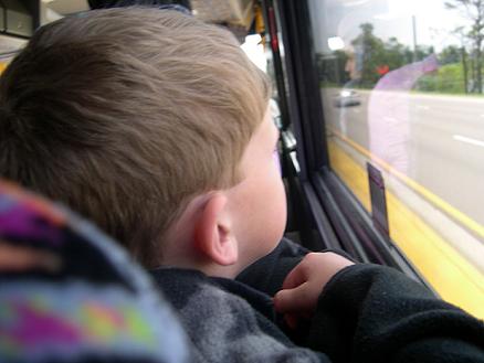 bus