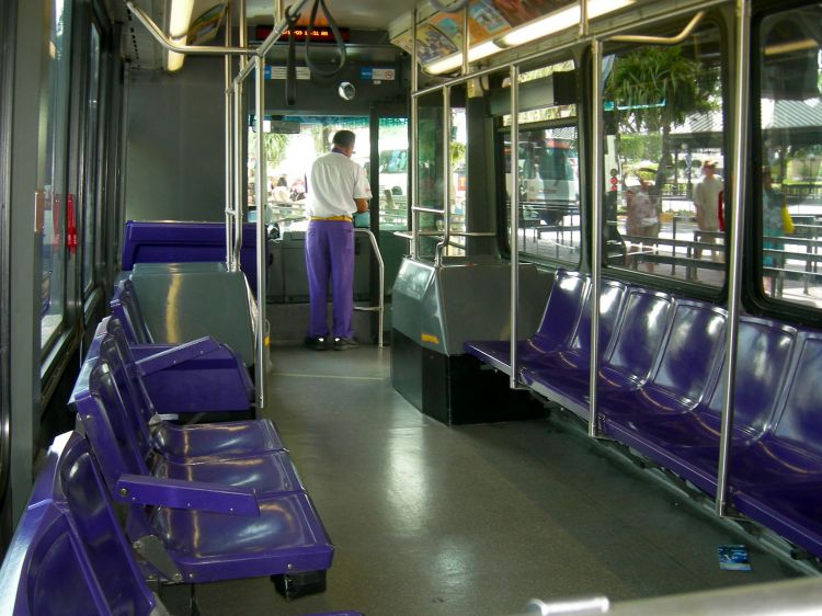 Bus