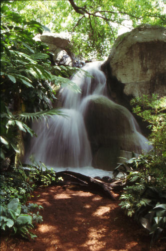 Busch Gardens Waterfall