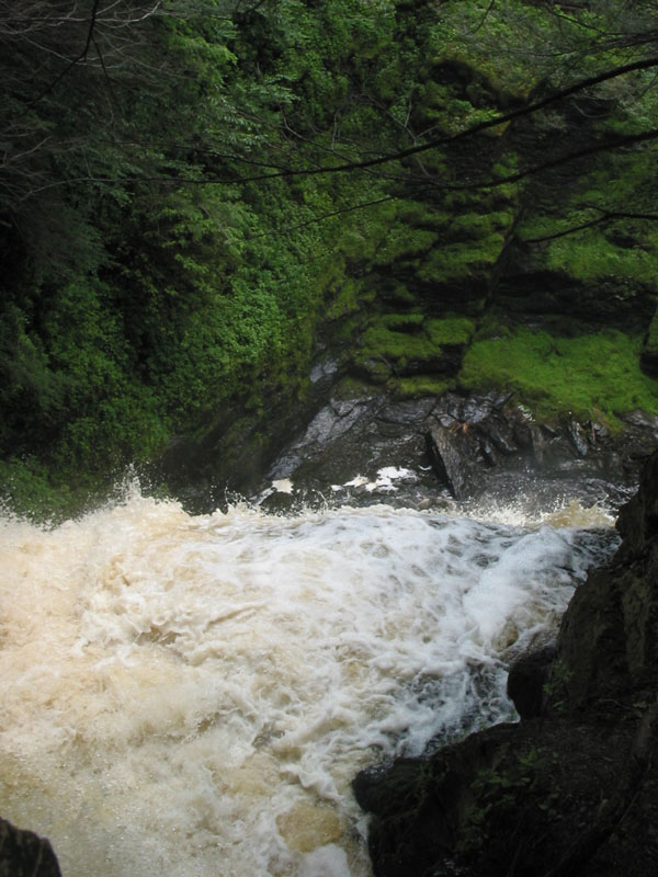 Bushkill Falls 1