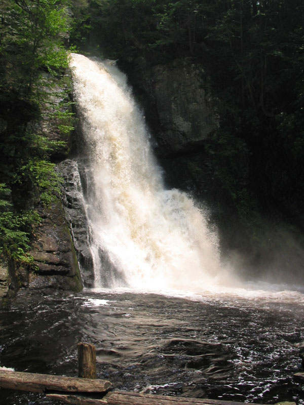 Bushkill Falls 2