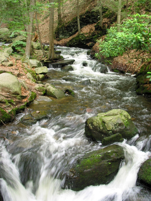 Bushkill Falls 3