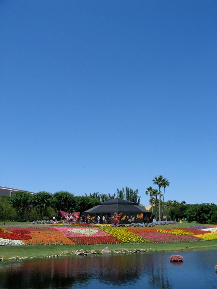 Butterfly Gardens
