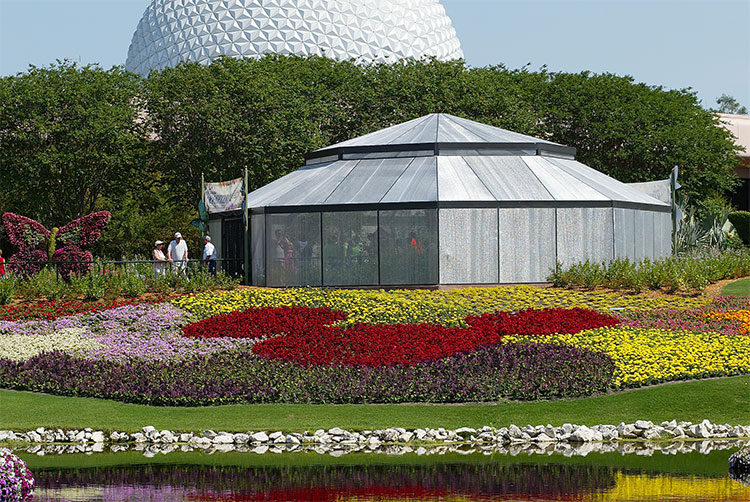 Butterfly Tent