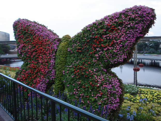 Butterfly topiary