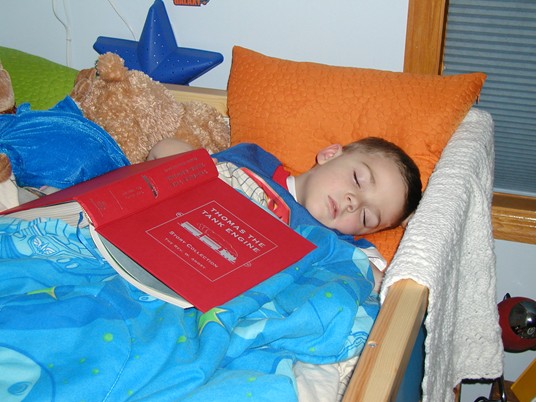 Buzz Bed