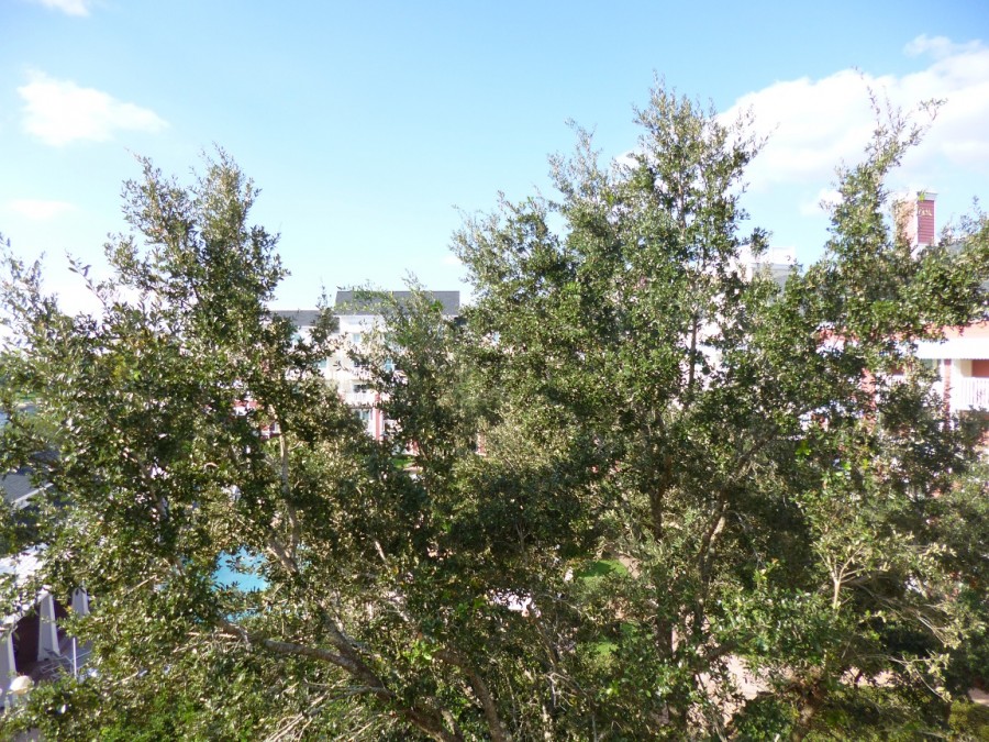 BWV 1-Bedroom Garden/Pool View #4134
