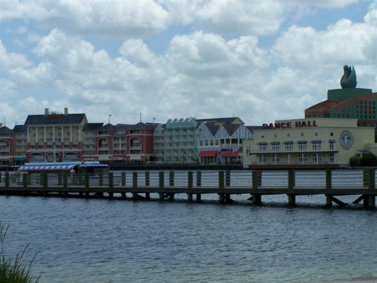 BWVSwan_Large_