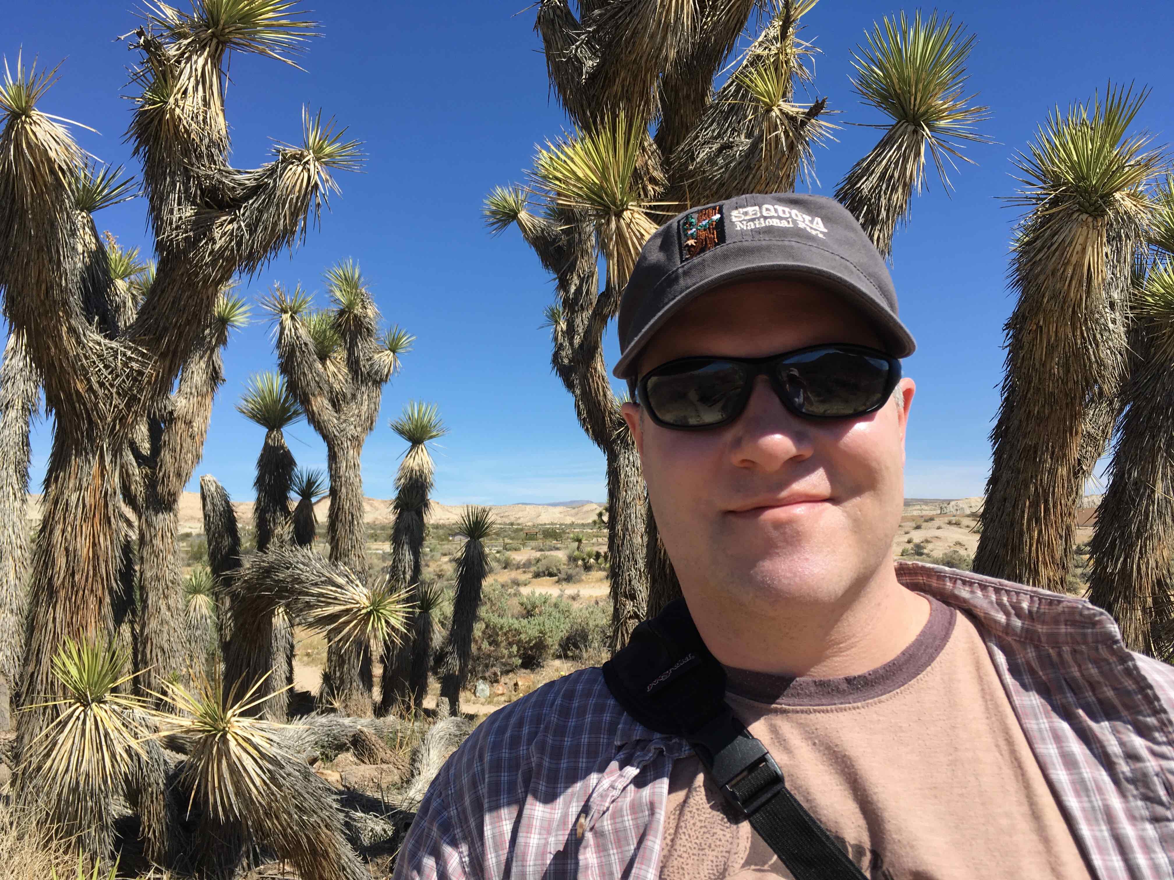 Cacti 2
