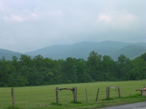Cades Cove 2
