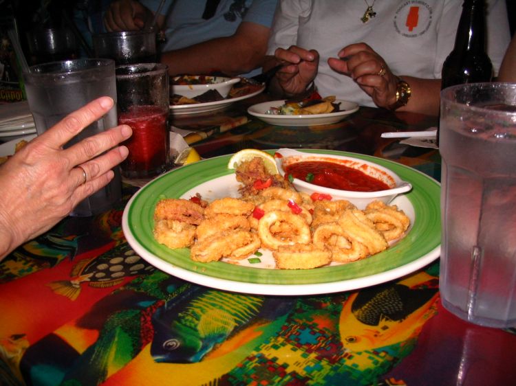 calamari