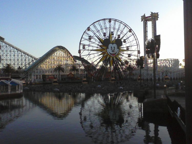 california adventure/disneylan resort