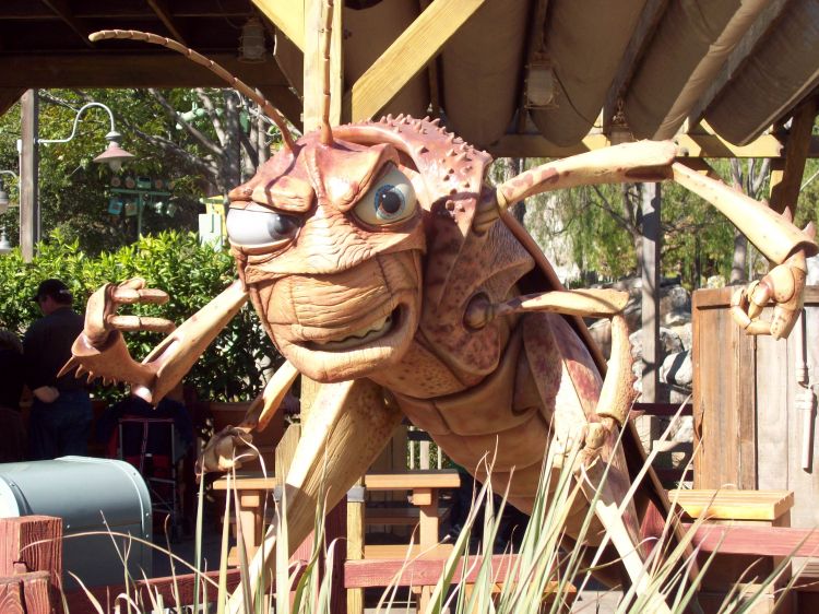 California_Adventure_Park_5_