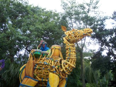 Camel