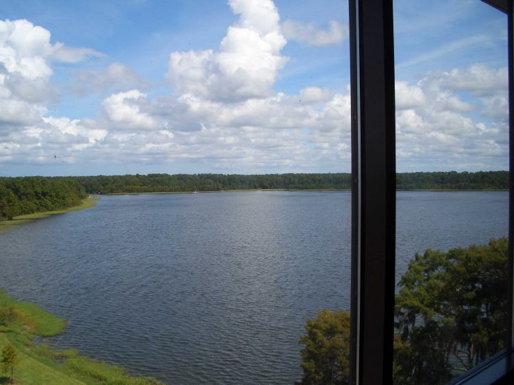 Camera-9-11-2009-BLT_1_396