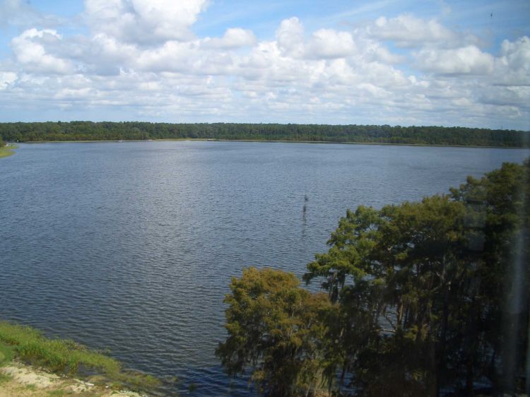 Camera-9-11-2009-BLT_1_398