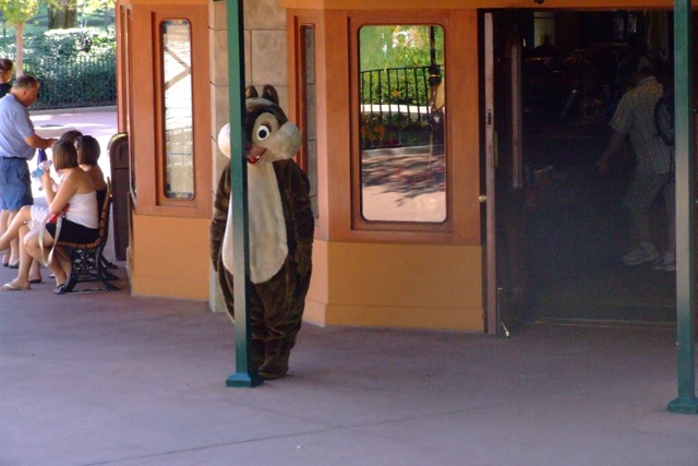 camouflage