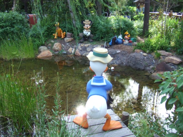 Camp Minnie-Mickey