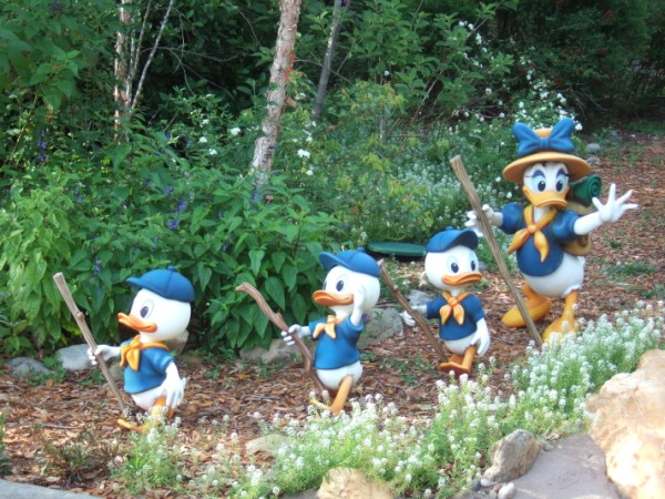 Camp Minnie-Mickey