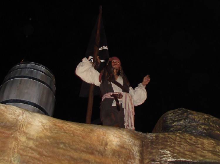 Capt. Jack Sparrow from Boo To You