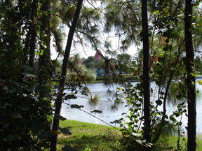 Caribbean Beach view from walkway