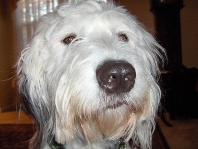 Casper