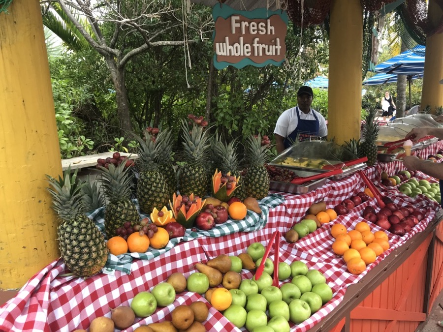 Castaway-Cay-004