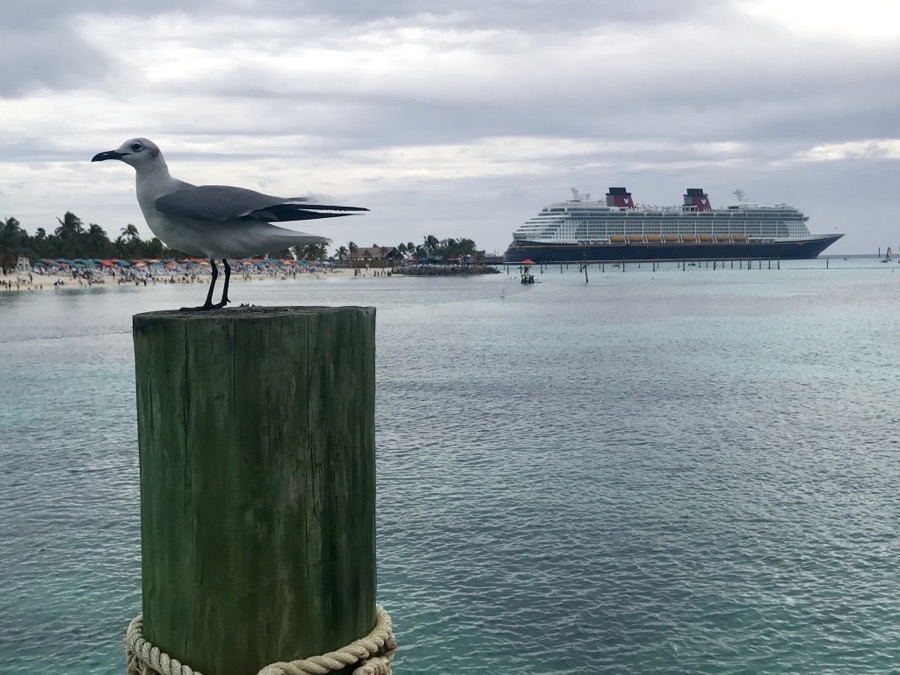 Castaway-Cay-010