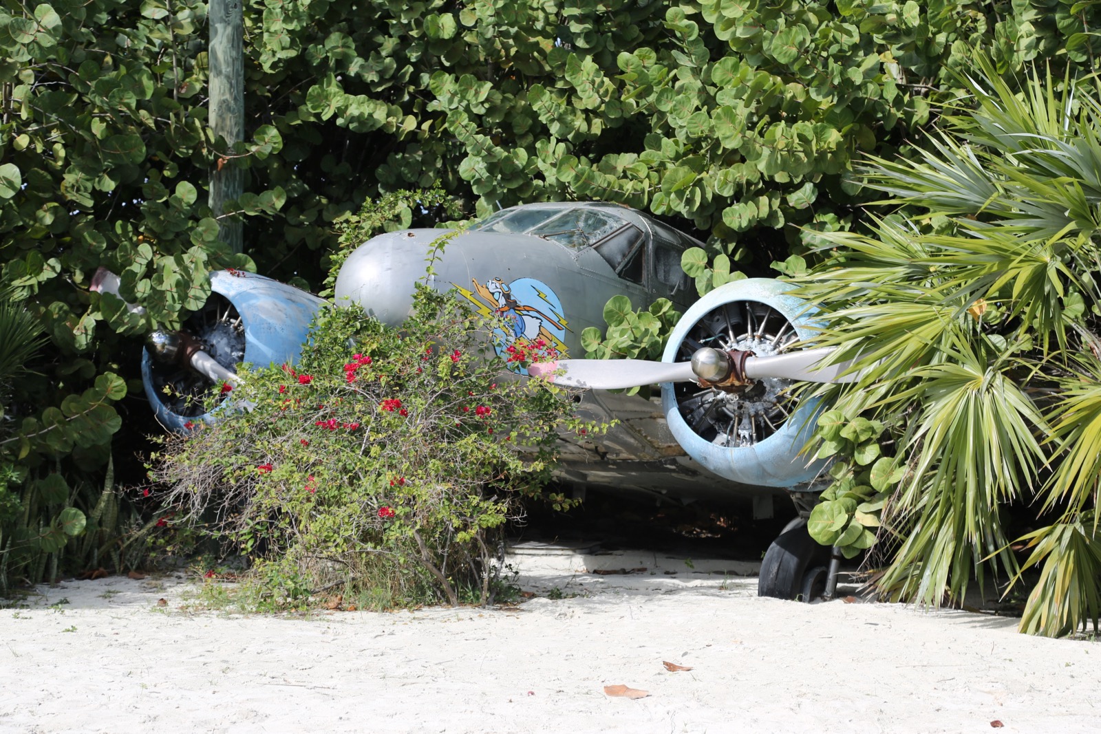Castaway-Cay-020