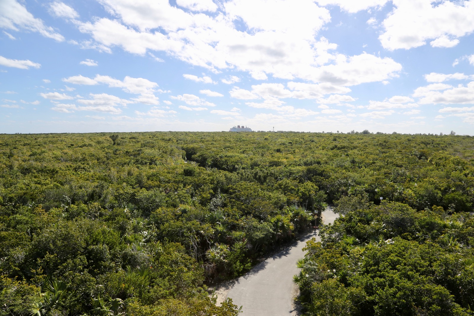 Castaway-Cay-023