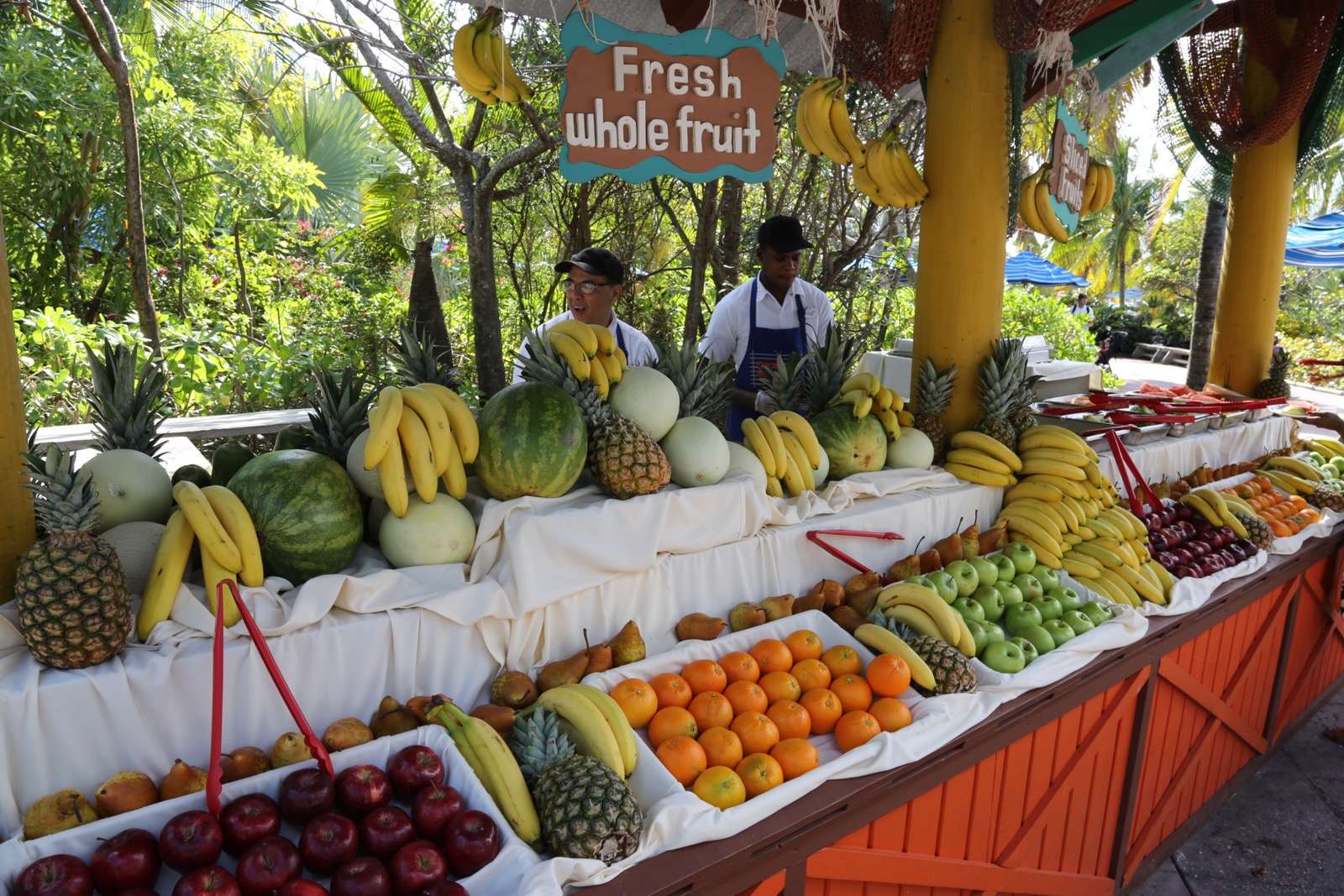 Castaway-Cay-061