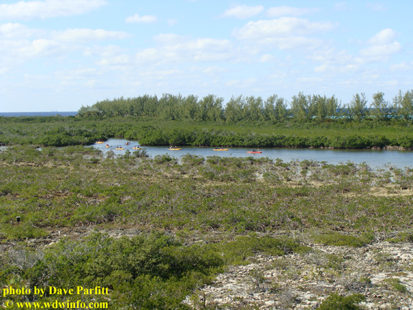 Castaway Cay Bike 10