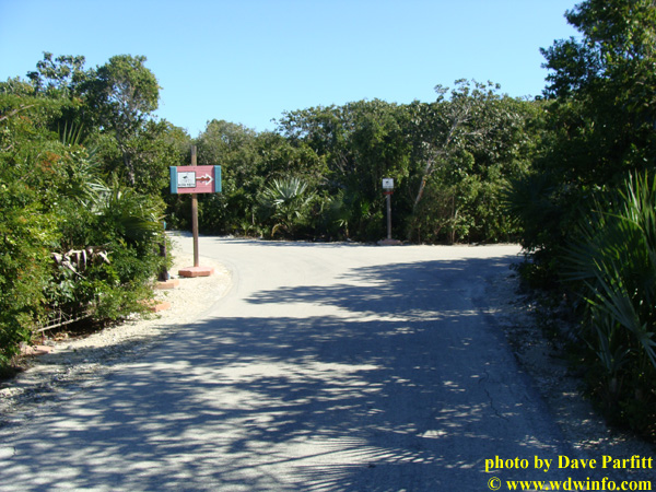 Castaway Cay Bike 4