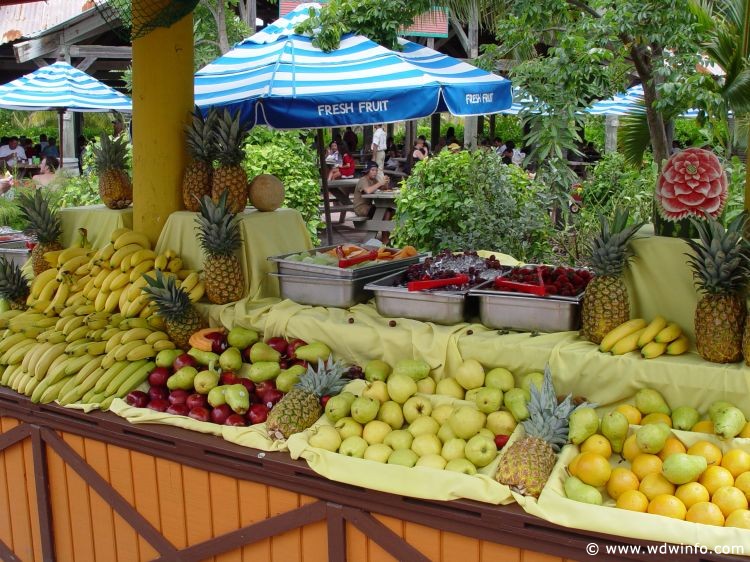 Castaway-Cay_079