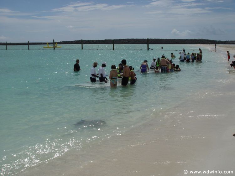 Castaway-Cay_106