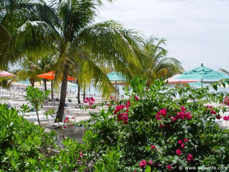 Castaway-Cay_156