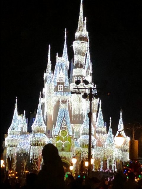 Castle 5_MK_Disney 2018