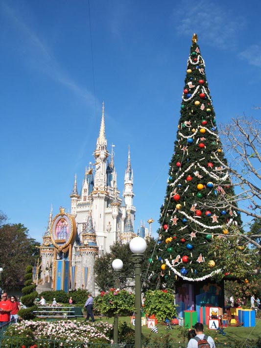 Castle and Christmas tree