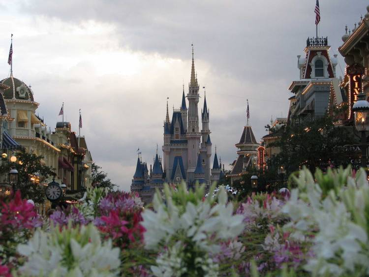 Castle and Flowers