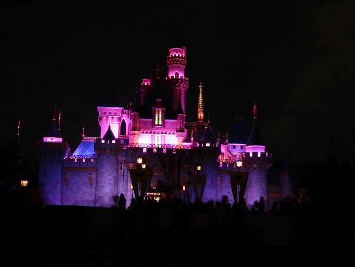 Castle at Night