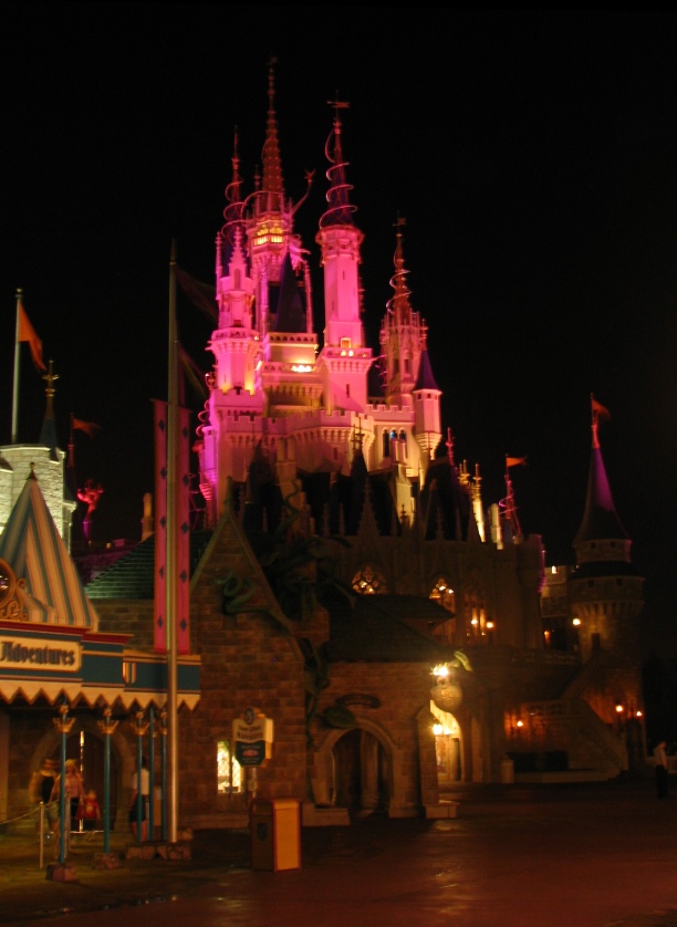 Castle Before Wishes