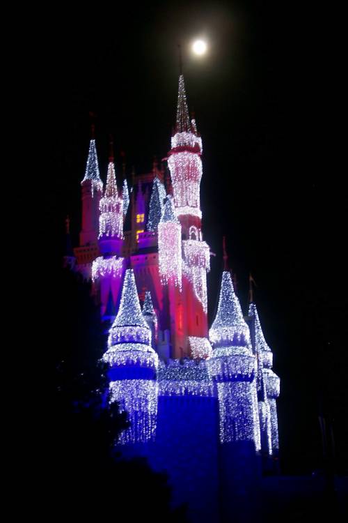 Castle by Moonlight