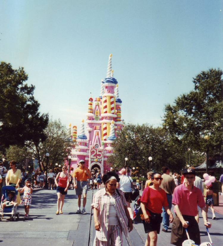 Castle "Cake"