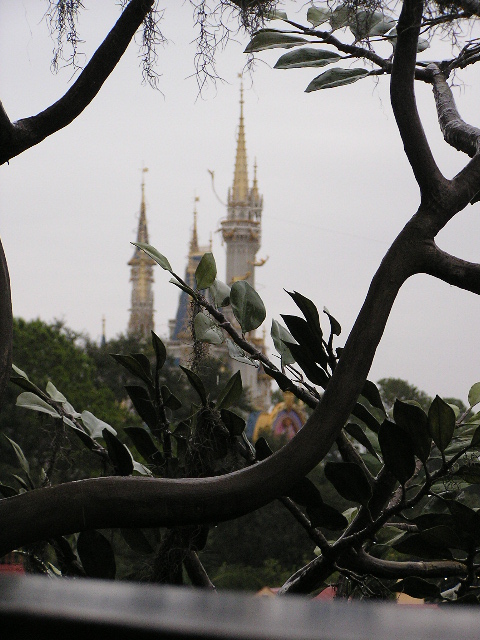 Castle for Swiss Family tree