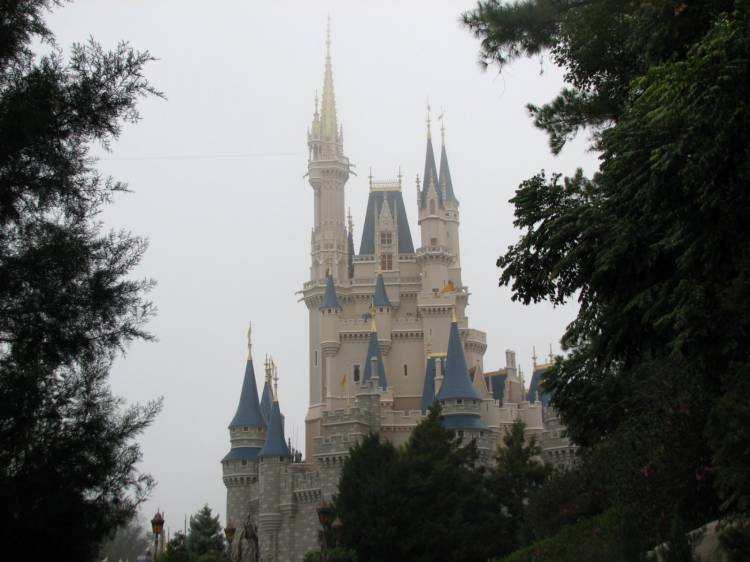 Castle in the woods