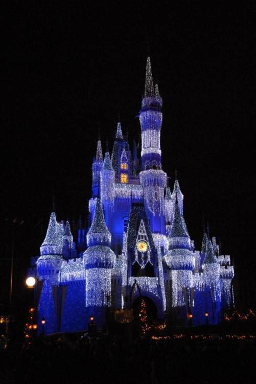 Castle Lights