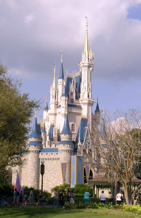 Castle - Magic Kingdom WDW