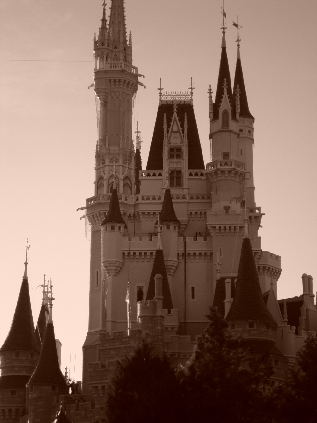 Castle Shot
