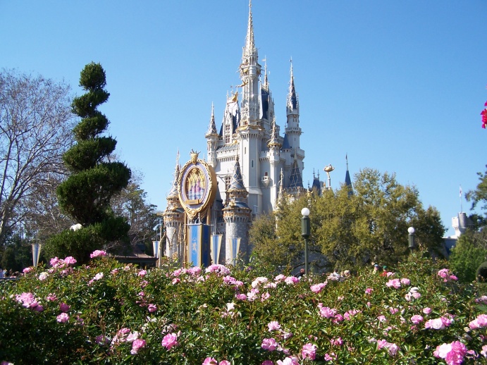 Castle Surrounded by Roses